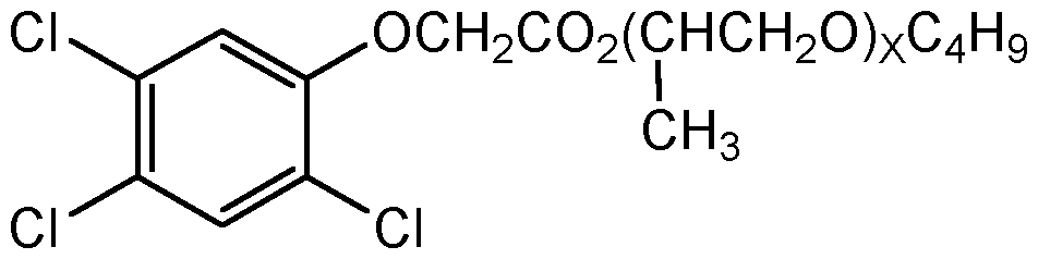 CSN-10004-100MG