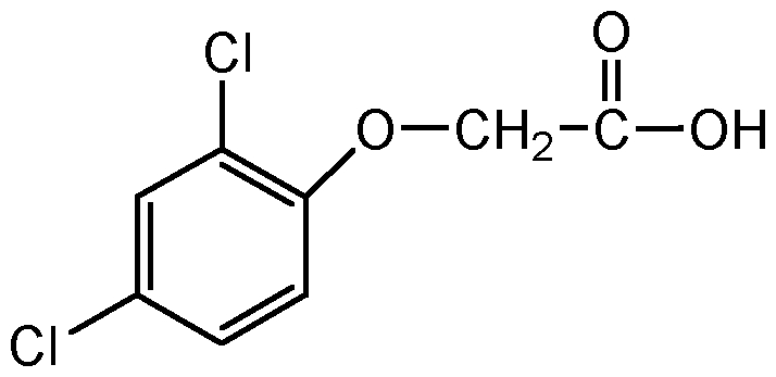 CSN-10609-250MG