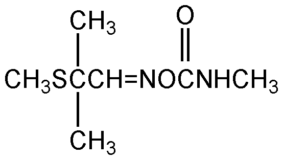 CSN-11044-100MG