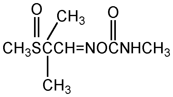 CSN-11046-100MG