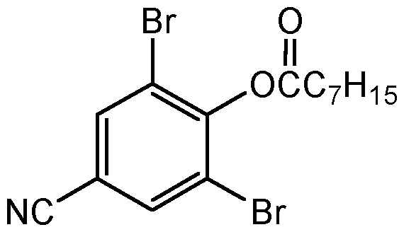 CSN-11346-250MG