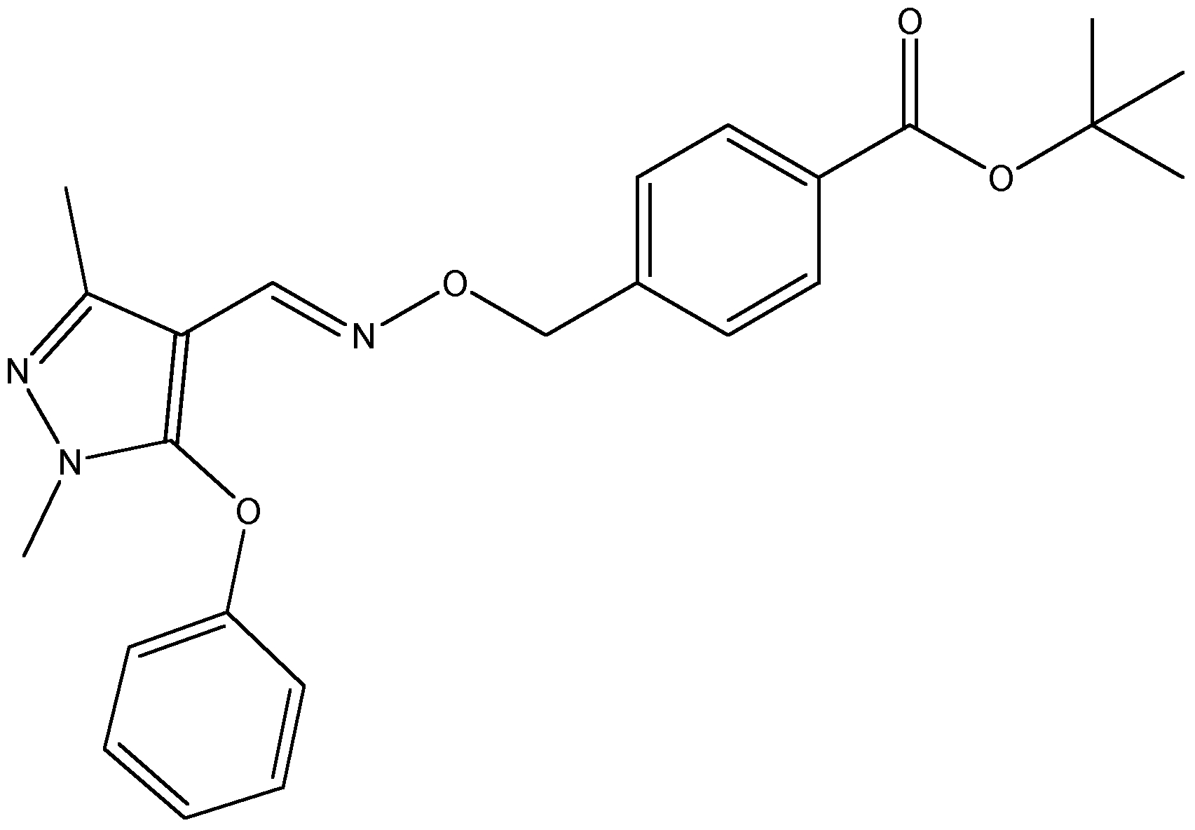 CSN-11962-100MG