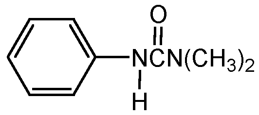 CSN-11967-250MG