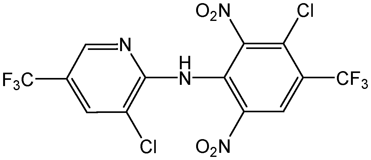 CSN-11980-100MG