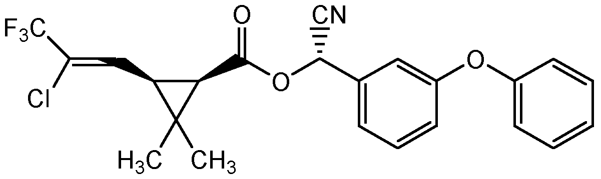 CSN-12307-100MG