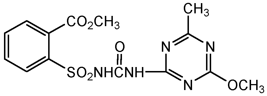 CSN-12482-100MG