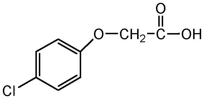 CSN-12763-250MG