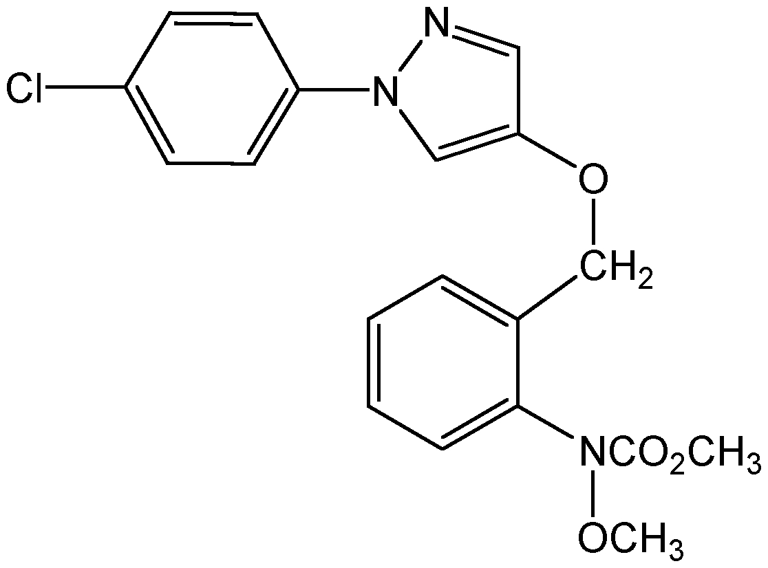 CSN-13143-100MG