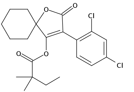 CSN-13223-100MG