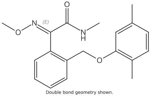 CSN-13926-100MG