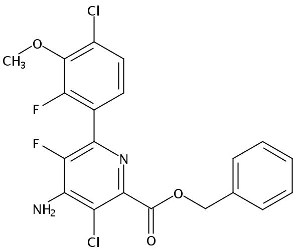 CSN-14353-10MG