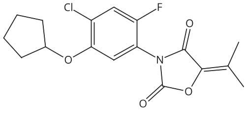 CSN-14490-10MG
